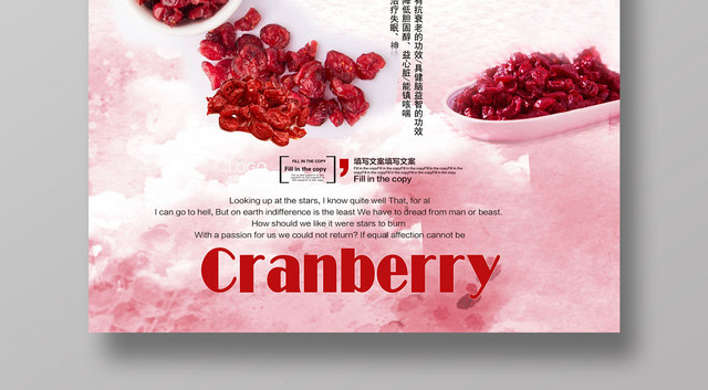 红色美味进口蔓越莓水果果干食品海报