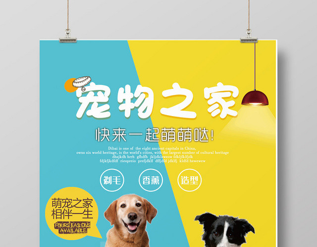 宠物店动物蓝黄创意宣传海报