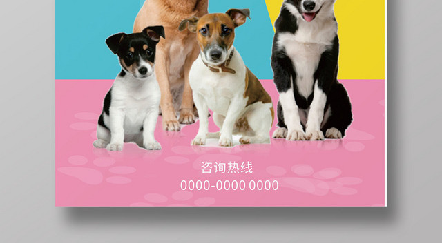 宠物店动物蓝黄创意宣传海报