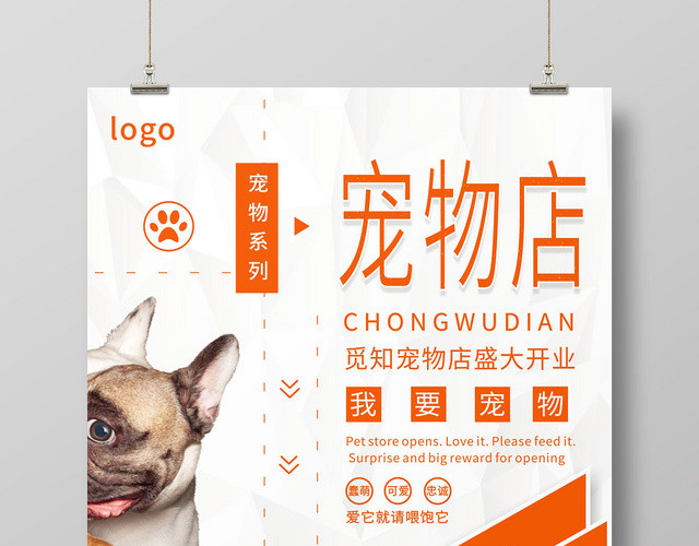 橙白动物宠物店简约宣传海报