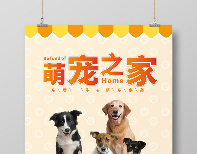 橙色动物宠物店简约宣传海报