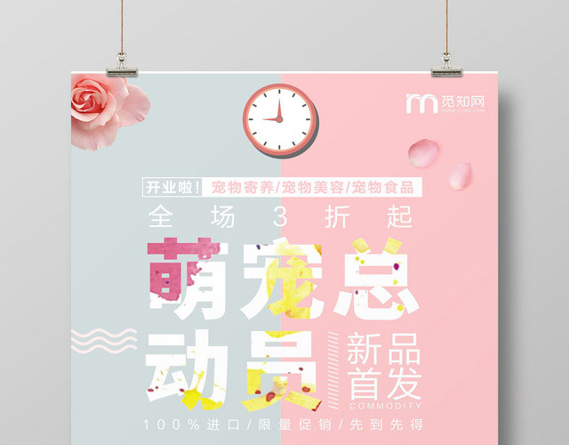 蓝粉清新宠物店动物宣传海报