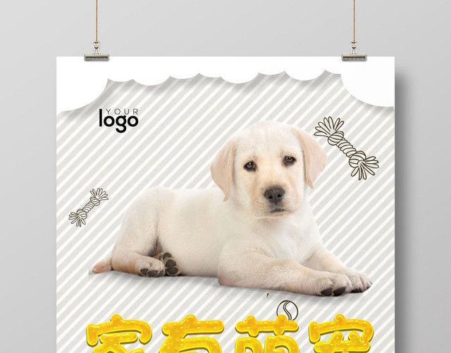 灰色动物宠物店可爱简约宣传营销海报