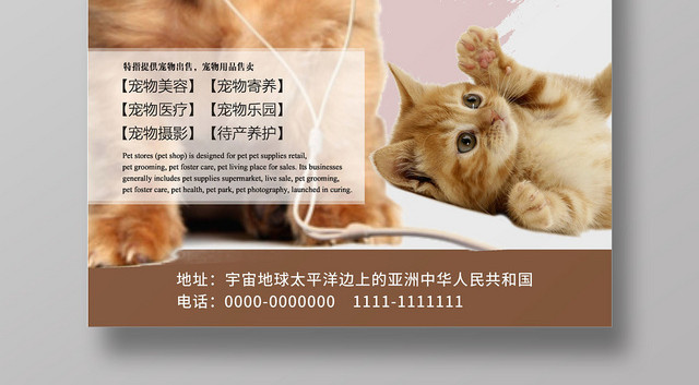 棕色动物宠物店可爱创意宣传海报