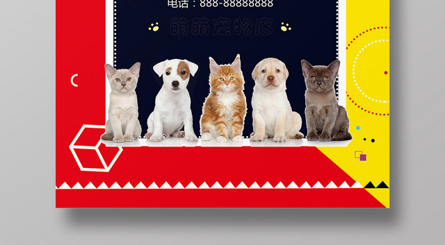 黄色黑色宠物店动物时尚宣传海报