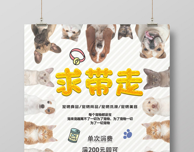 灰色动物宠物店可爱简约宣传海报
