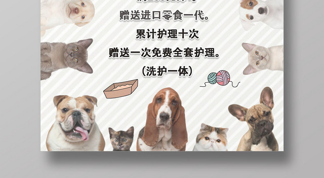 灰色动物宠物店可爱简约宣传海报