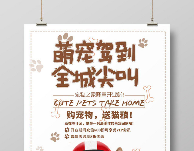 棕色动物宠物店创意宣传海报