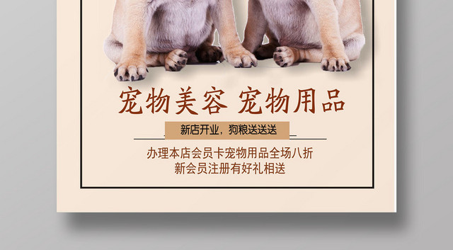 黄色动物宠物店简约宣传营销海报