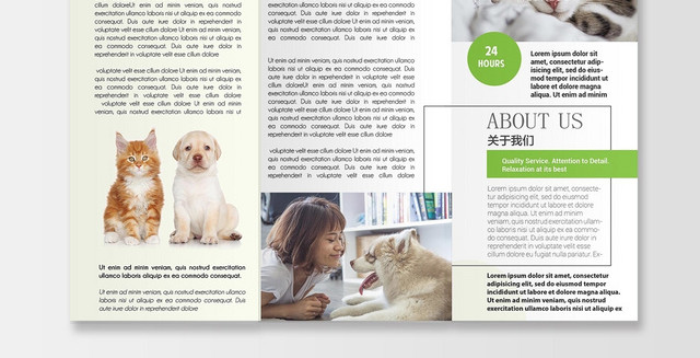 绿色清新宠物店宠物之家动物宣传三折页