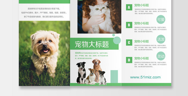 简约清新创意宠物店动物宣传三折页