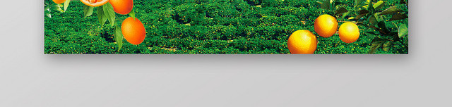 缤纷农产品美食生鲜水果蔬海报BANNER