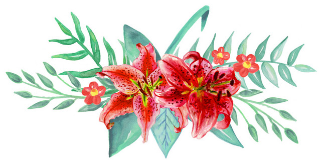 手绘水彩花卉素材
