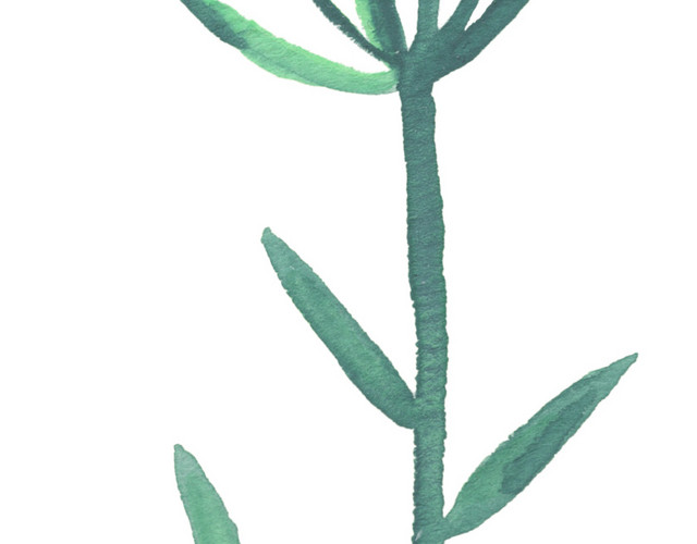 手绘水彩花卉素材