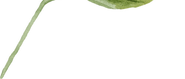 手绘水彩植物叶子素材