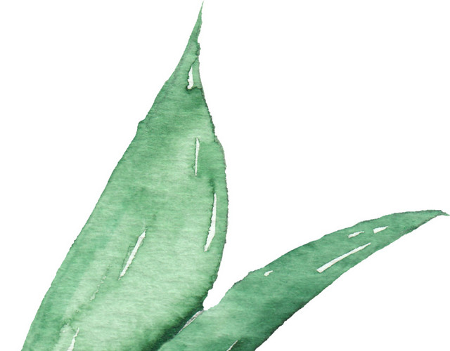 绿色树叶水彩矢量素材