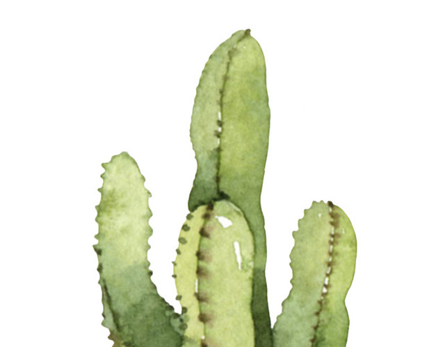 绿色植物盆栽矢量素材