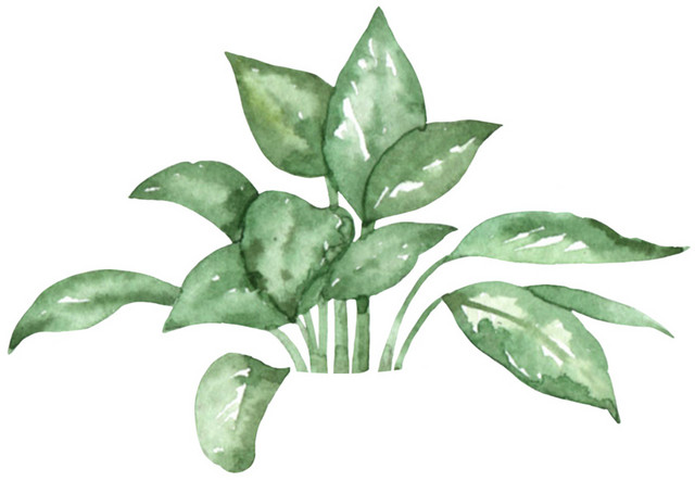 树枝树叶装饰矢量素材