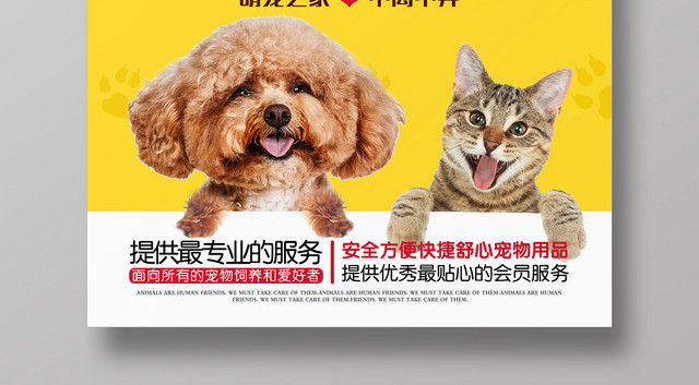 黄色简约卡通动物宠物医院海报
