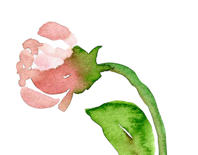 水彩手绘花矢量素材图