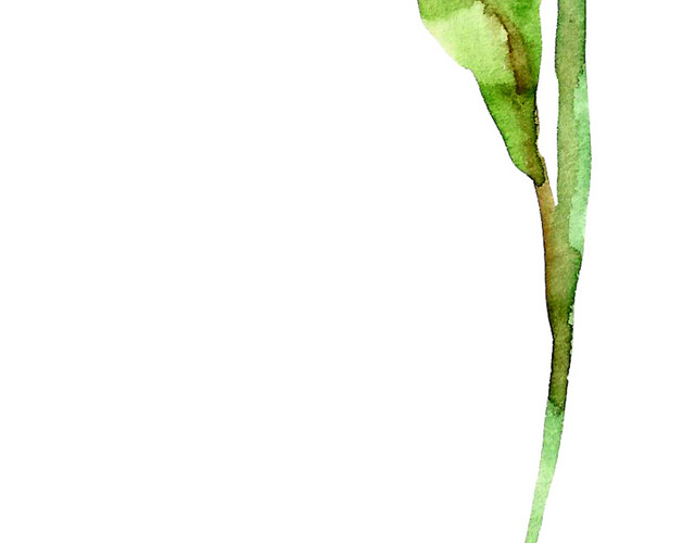水彩手绘花矢量素材图
