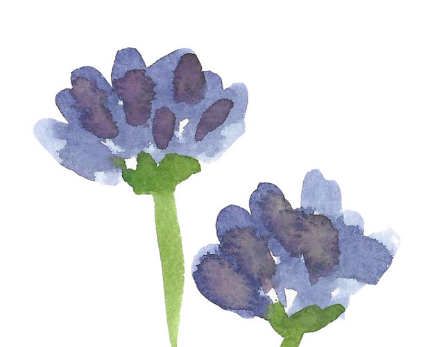 水彩手绘花矢量素材图