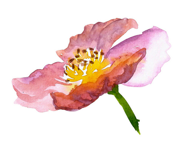 水彩手绘花矢量素材图