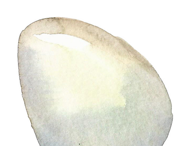 水彩手绘石头矢量素材图
