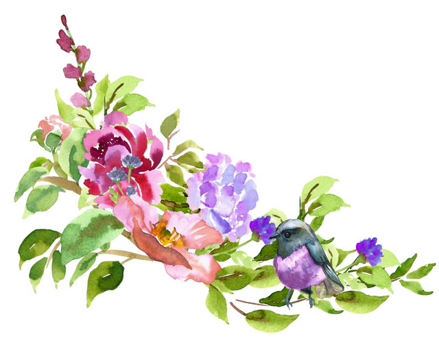 水彩手绘花鸟图矢量素材图