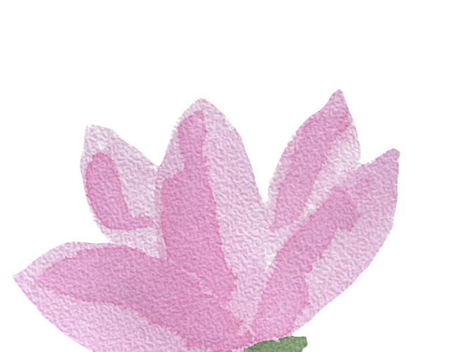 粉花素材