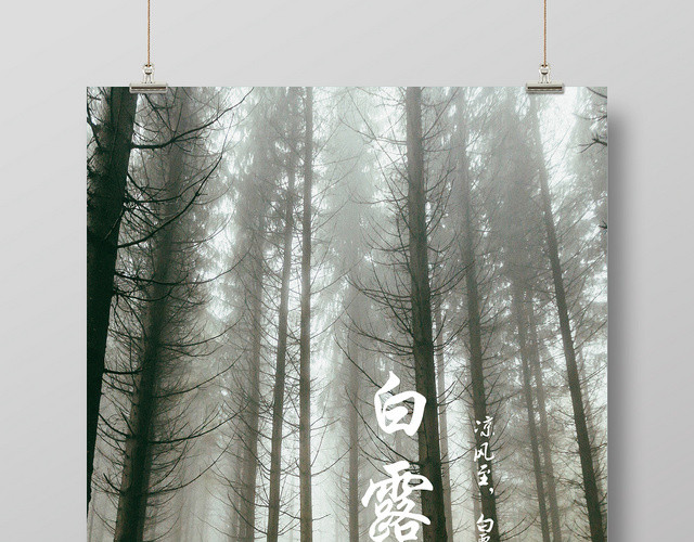 简约时尚传统文化二十四节气白露宣传海报