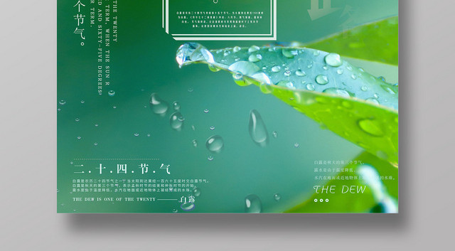 简约二十四节气白露宣传海报