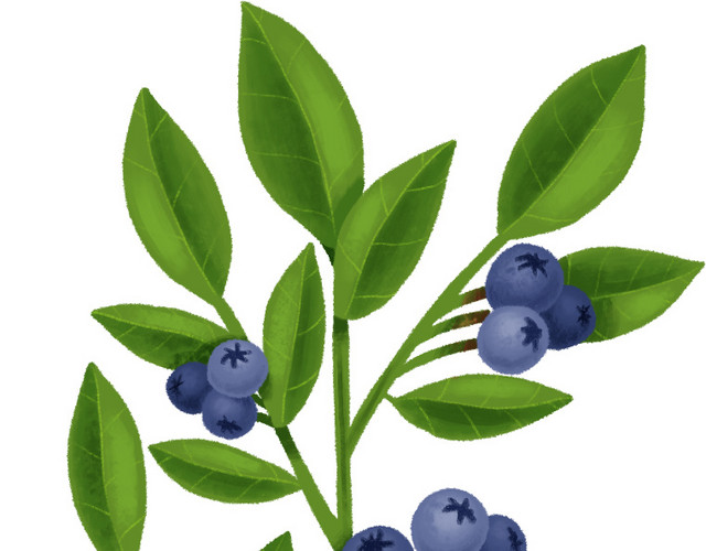 植物素材