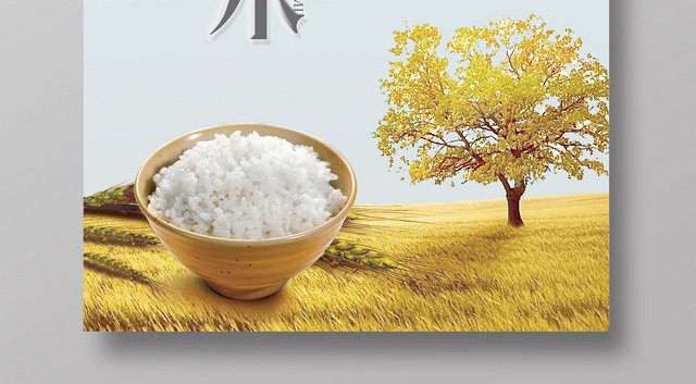 有机大米农产品简约蓝色海报