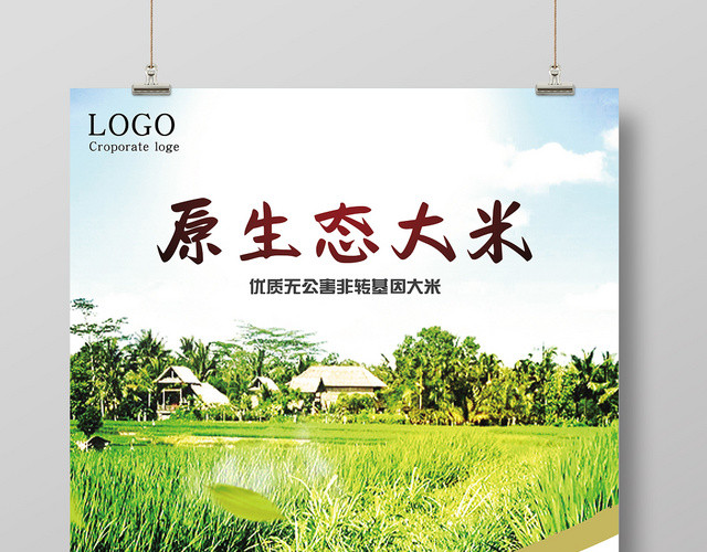 原生态大米农产品简约海报