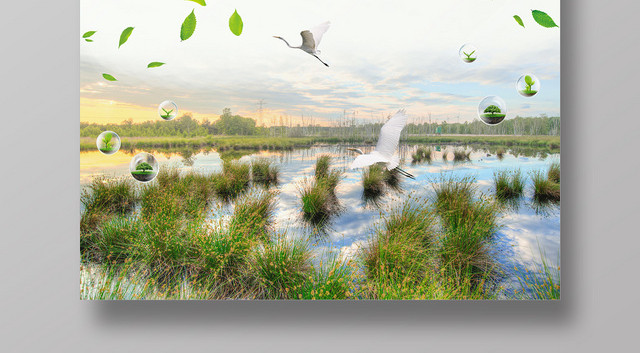 保护湿地人人有责绿色环保环境保护湿地海报