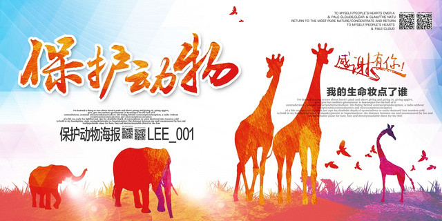 创意森林动物世界动物园保护动物展板宣传设计