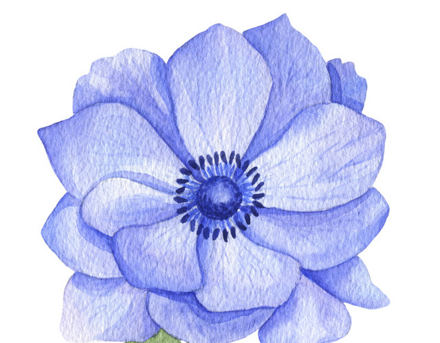 蓝墨花朵素材