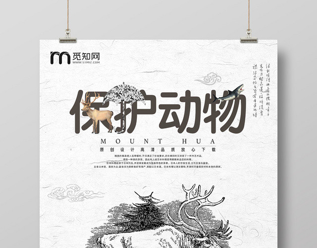 创意保护动物野生动物公益动物园海报宣传设计