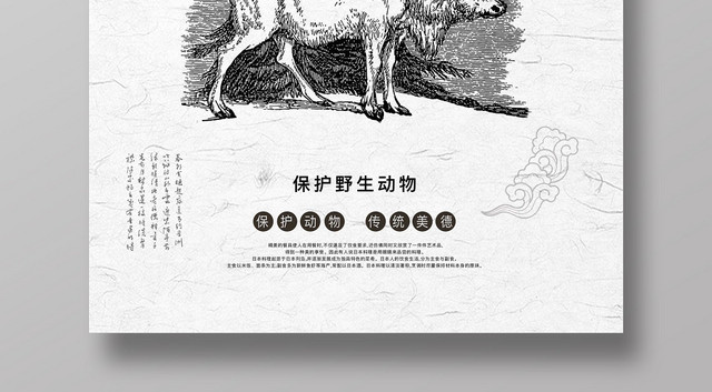 创意保护动物野生动物公益动物园海报宣传设计
