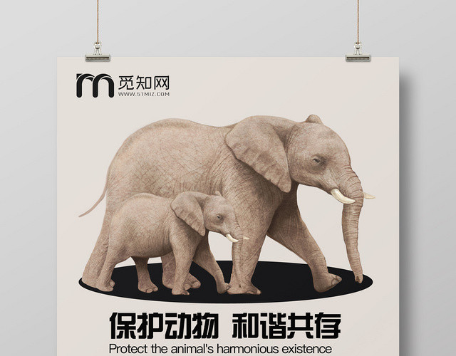创意简约保护动物野生动物公益宣传海报