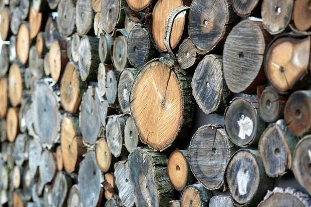 木 HOLZSTAPEL 梳剪线 柴 日志 木材 蓄积量