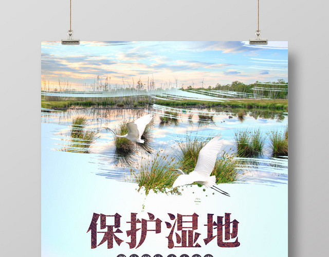 实景大自然湿地植物环保环境保护湿地海报