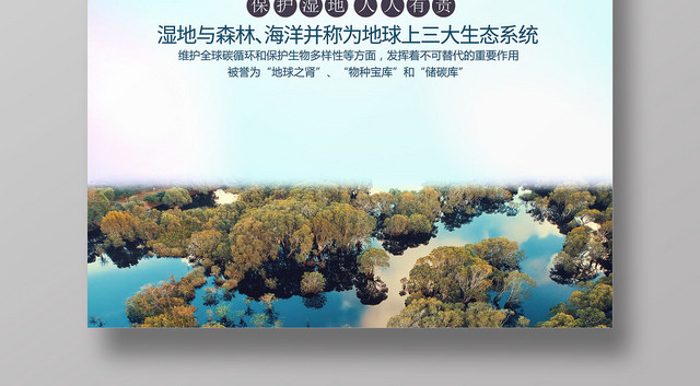 实景大自然湿地植物环保环境保护湿地海报
