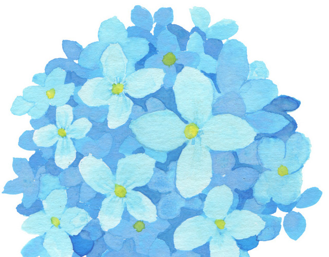 蓝花束素材