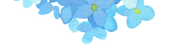 蓝花束素材