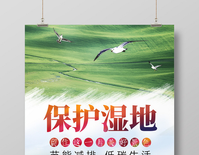 绿水青山大自然飞鸟生态环境保护湿地海报