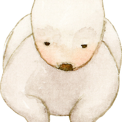 兔子素材
