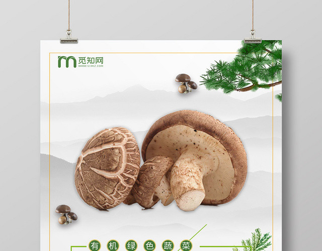 简约食品生鲜超市农产品蔬菜新鲜香菇海报
