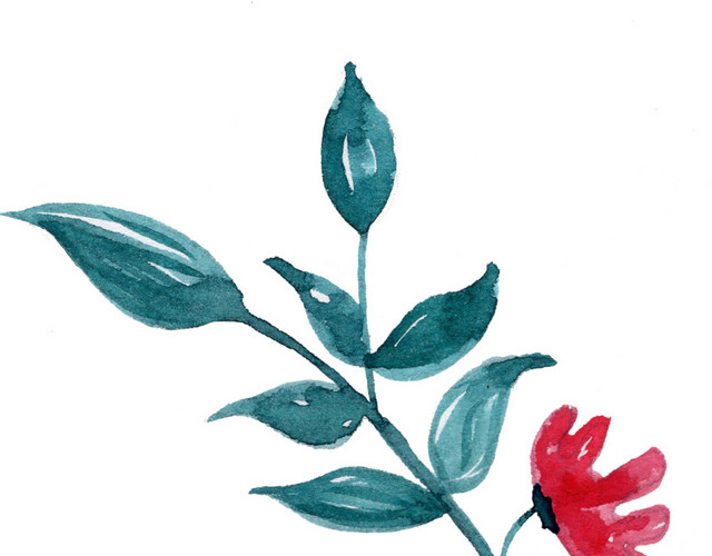 枝叶花素材